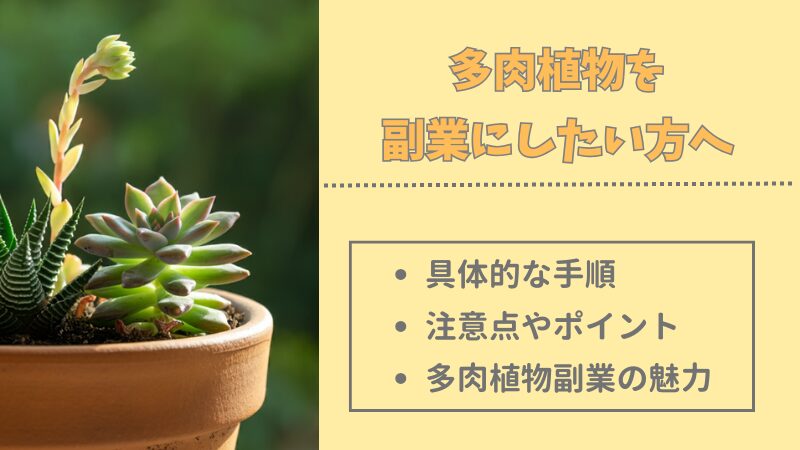 多肉植物の副業で収益化！始めるための具体的な手順と注意点 