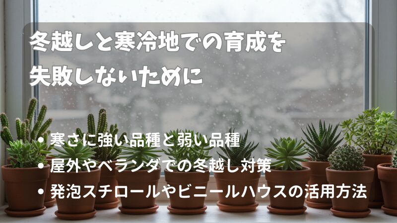 多肉植物の冬越しと寒冷地で失敗しない育成方法をわかりやすく紹介 